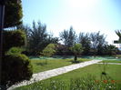 DSC01918