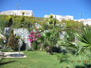 DSC01925