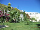 DSC01933