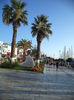 DSC02008