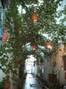 DSC02123