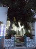 DSC02152