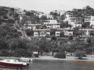 DSC02686