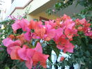DSC02880