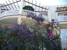 DSC02883