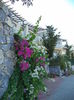 DSC02898