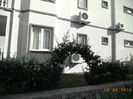 DSC02909