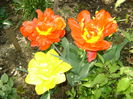 DSC01122