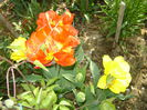 DSC01123