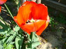 DSC01136