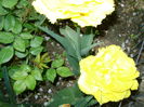 DSC01148