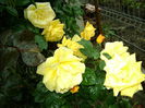 DSC01169
