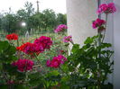 DSC01173