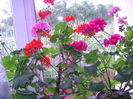 DSC01174