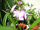 DSC01177