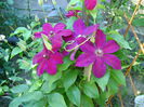 DSC01191