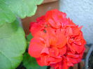 DSC01193