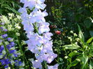 DSC01208