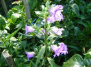 DSC01209