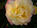 DSC01231