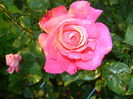DSC01233