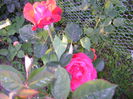 DSC01238