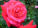 DSC01240