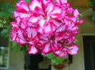 DSC01276