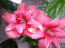DSC01285