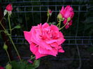 DSC01298