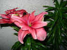DSC01305