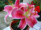 DSC01501