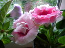 DSC01505