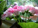DSC01506