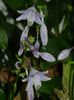 DSCN0478