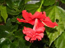 DSCN0480