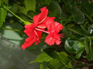 DSCN0482