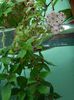 DSCN0487