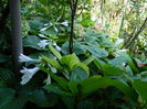 DSCN0490