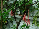 DSCN0494