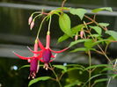 DSCN0497