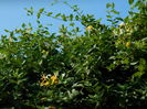DSCN0504