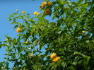 DSCN0505