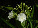 DSCN0508