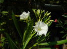 DSCN0509
