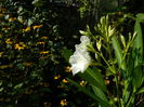 DSCN0510