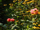 DSCN0514