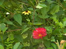 DSCN0515