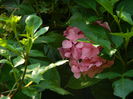 DSCN0519