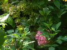 DSCN0520